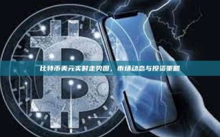 比特币美元实时走势图，市场动态与投资策略