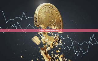 DVDX，数字时代的创新驱动力