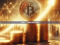 亮剑网——网络时代的挑战与机遇