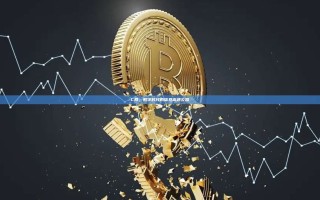 C网，数字时代的信息高速公路