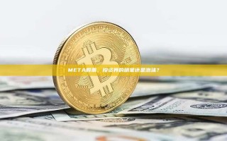 META股票，投资界的明星还是泡沫？