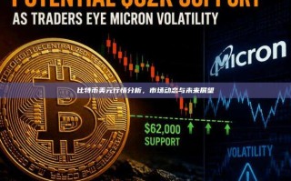 比特币美元行情分析，市场动态与未来展望