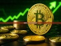张翠霞，在平凡中绽放非凡之光
