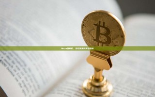 Meta目标价，投资决策的关键指标