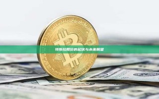 特斯拉股价的起伏与未来展望